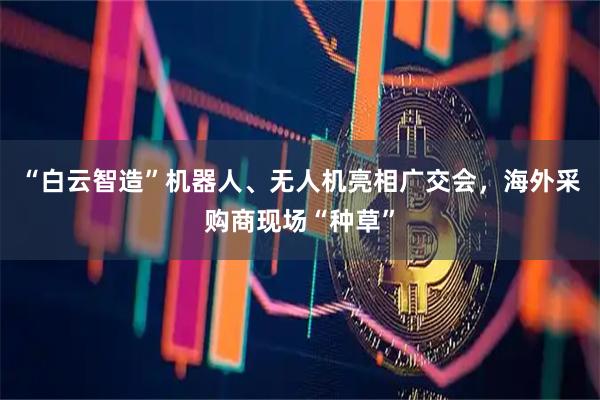 “白云智造”机器人、无人机亮相广交会,海外采购商现场“种草”