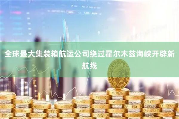 全球最大集装箱航运公司绕过霍尔木兹海峡开辟新航线